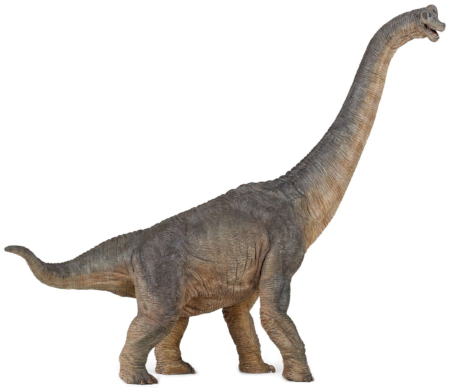 Φιγούρα Papo Dinosaurs – Βραχιόσαυρος